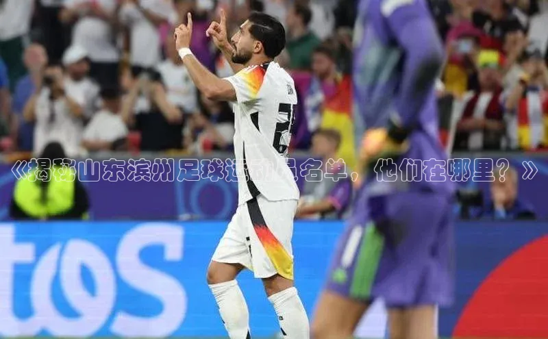 球盟会官方网页登录蓝色光标《揭秘山东滨州足球运动员名单，他们在哪里？》