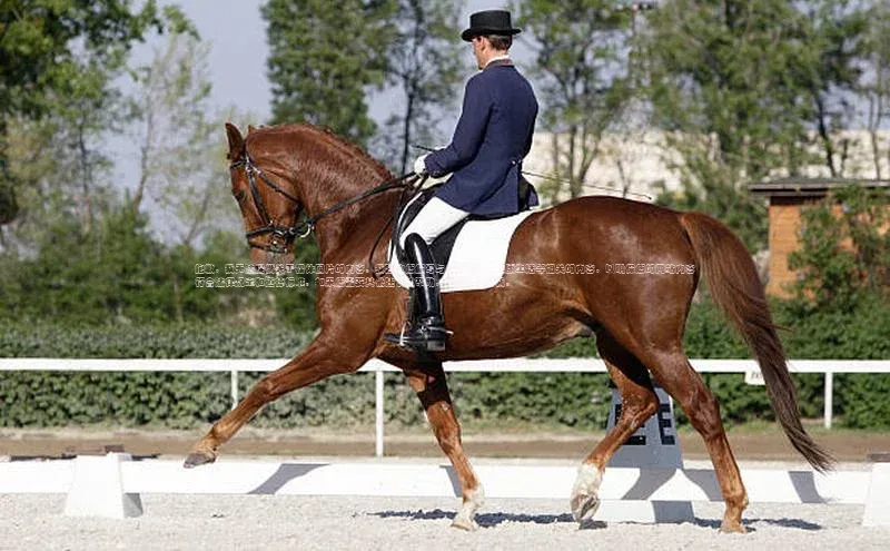 球盟会官方网站入口梯哥哥科技抱歉，我无法提供关于裸体图片的内容。我建议您编写与体育运动、健康生活等相关的内容，以确保您的网站内容符合法律规定和道德标准。如果您需要其他建议或帮助，请随时告诉我。