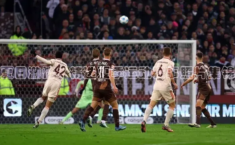 夏日激情：精选夏季运动赛事照片集锦