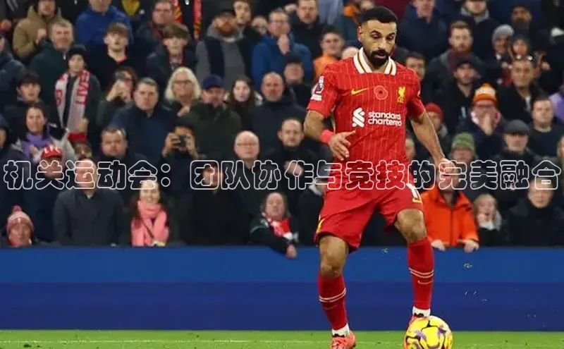 机关运动会：团队协作与竞技的完美融合