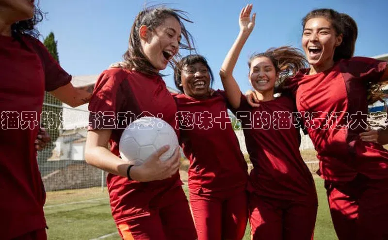 猫界的激情运动会：趣味十足的猫咪竞速大赛