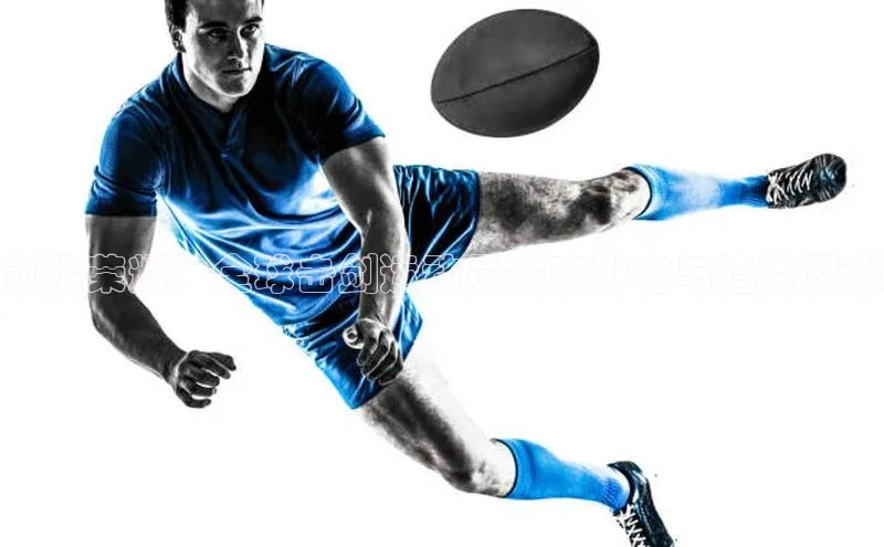 剑指荣耀：全球击剑运动员赛事排名与趋势预测