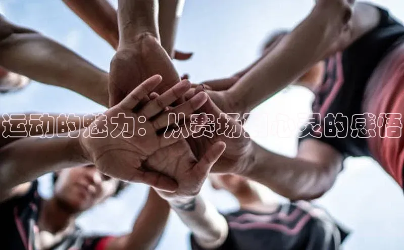 运动的魅力：从赛场到心灵的感悟