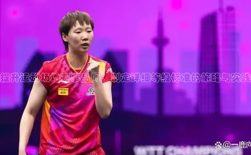 提升运动场地赛事品质：制定详细等级标准的策略与实践