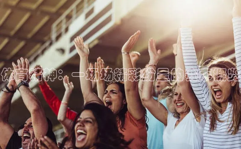 体育精神：一场场精彩纷呈的赛事概览