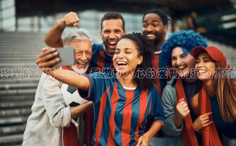 狗界的奥林匹克：最激动人心的宠物狗运动赛事