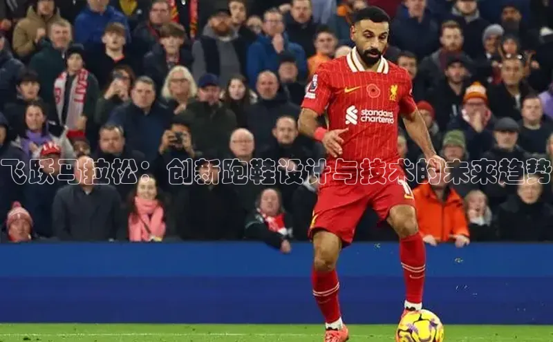 飞跃马拉松：创新跑鞋设计与技术的未来趋势
