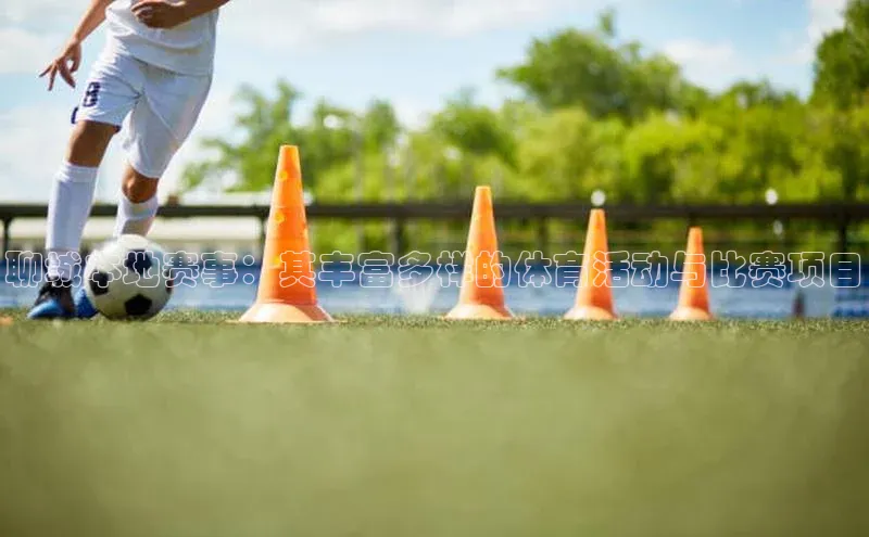 聊城本地赛事：其丰富多样的体育活动与比赛项目