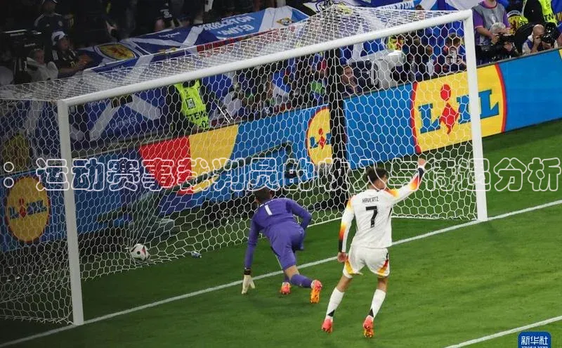 ：运动赛事裁判员的收入与待遇分析