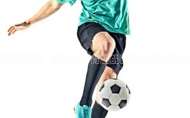 球盟会官方网页登录