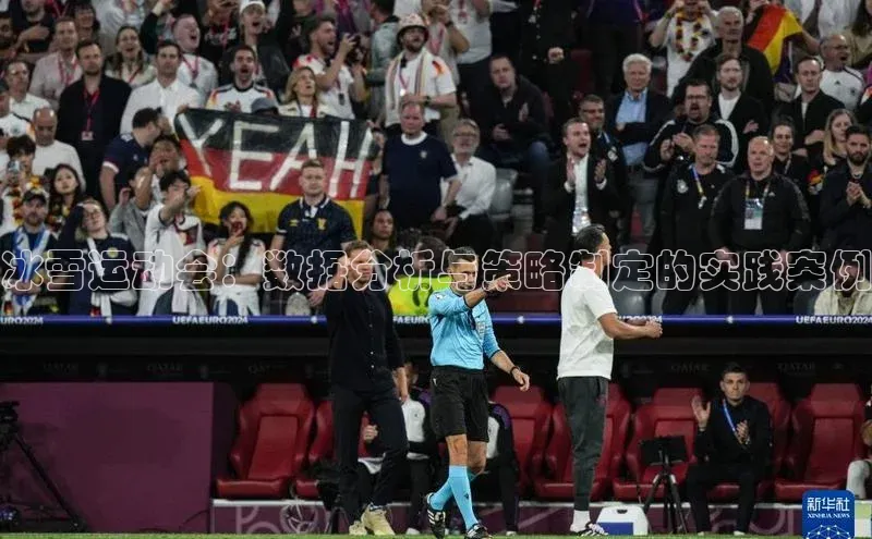 冰雪运动会：数据分析与策略制定的实践案例